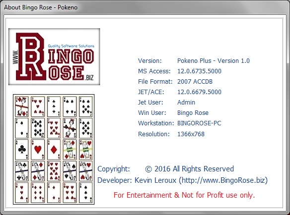 About Bingo Rose splash screen